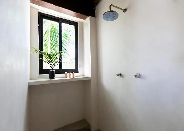 Mohave Jungle Hotel 2*