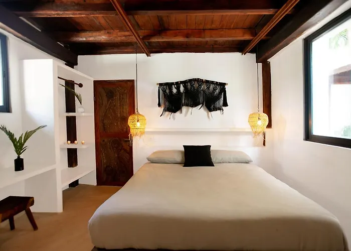 Hotel Mohave Jungle